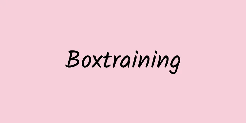 Boxtraining