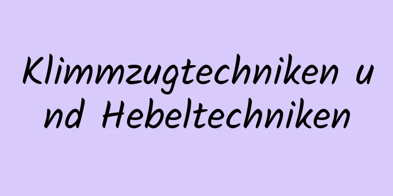 Klimmzugtechniken und Hebeltechniken