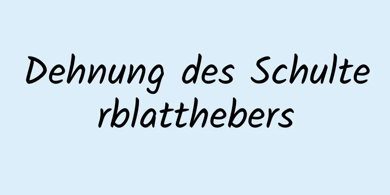 Dehnung des Schulterblatthebers