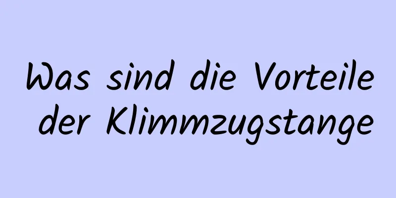 Was sind die Vorteile der Klimmzugstange