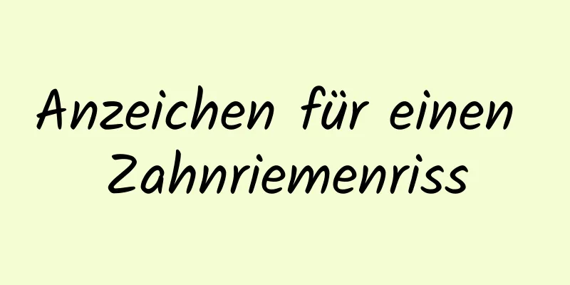 Anzeichen für einen Zahnriemenriss