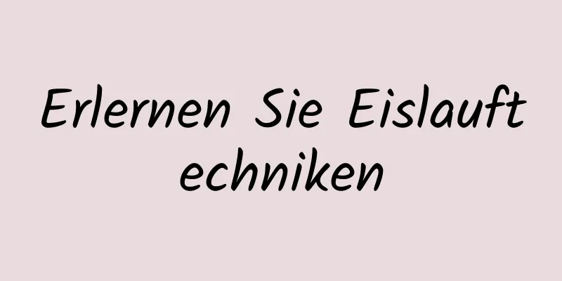 Erlernen Sie Eislauftechniken