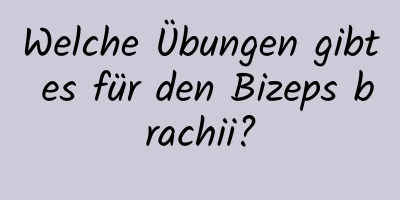 Welche Übungen gibt es für den Bizeps brachii?