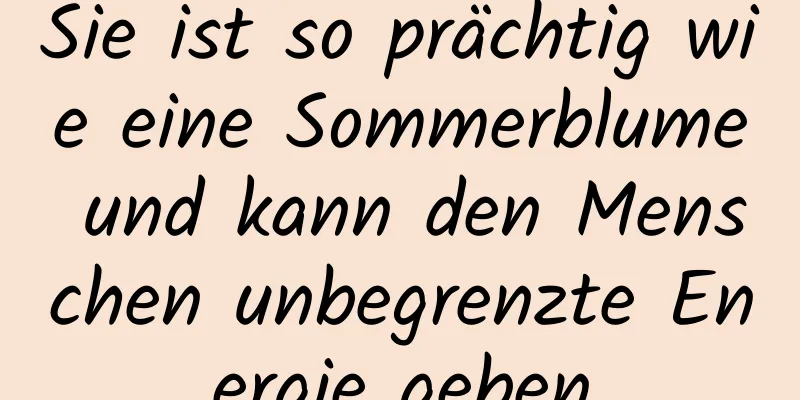 Sie ist so prächtig wie eine Sommerblume und kann den Menschen unbegrenzte Energie geben