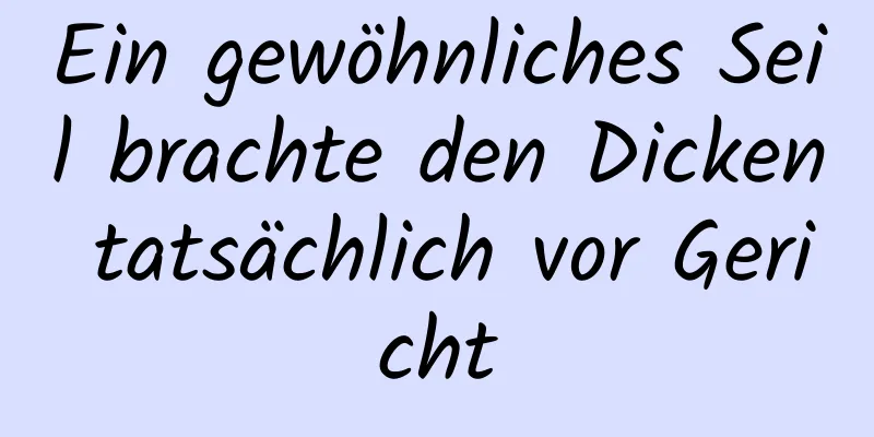 Ein gewöhnliches Seil brachte den Dicken tatsächlich vor Gericht