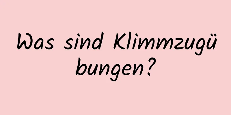 Was sind Klimmzugübungen?