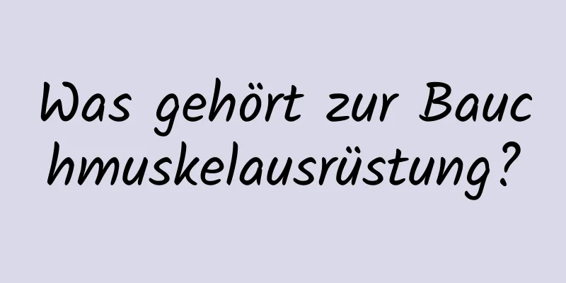 Was gehört zur Bauchmuskelausrüstung?