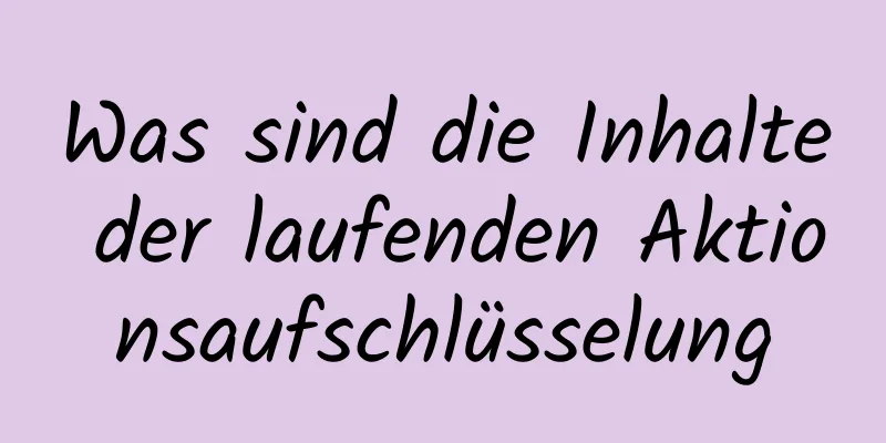 Was sind die Inhalte der laufenden Aktionsaufschlüsselung