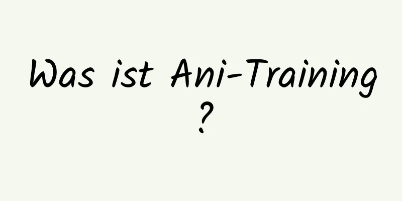 Was ist Ani-Training?