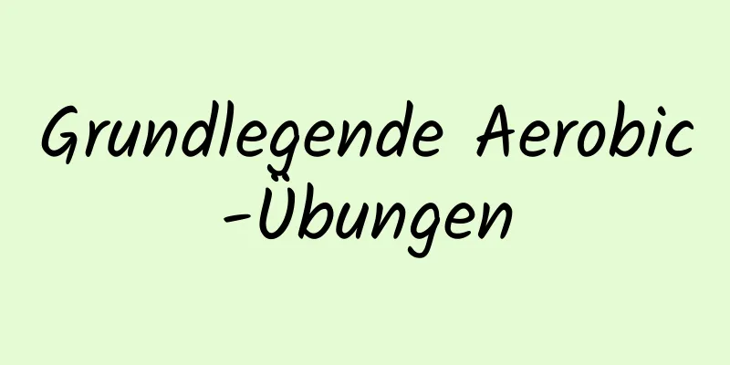 Grundlegende Aerobic-Übungen