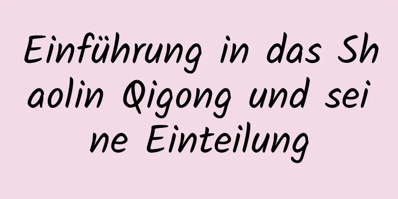 Einführung in das Shaolin Qigong und seine Einteilung