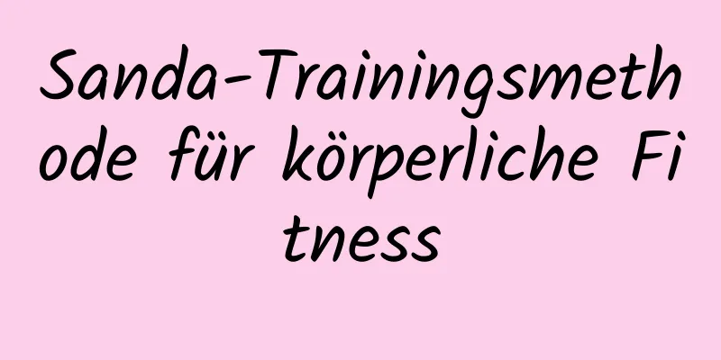 Sanda-Trainingsmethode für körperliche Fitness