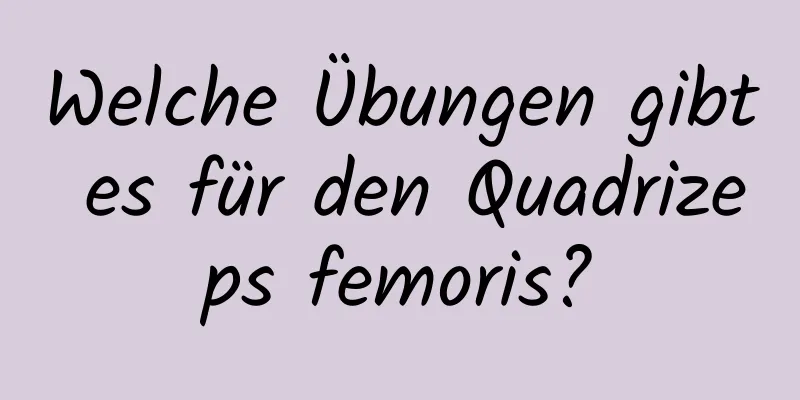 Welche Übungen gibt es für den Quadrizeps femoris?