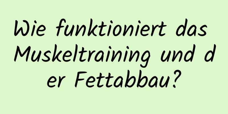 Wie funktioniert das Muskeltraining und der Fettabbau?