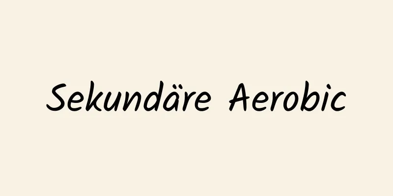 Sekundäre Aerobic