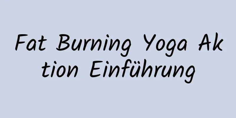 Fat Burning Yoga Aktion Einführung