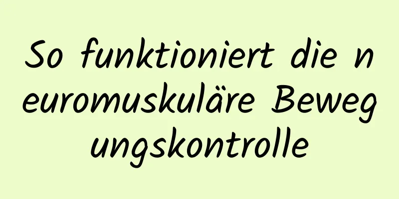 So funktioniert die neuromuskuläre Bewegungskontrolle