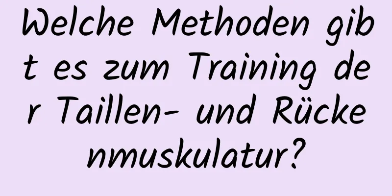 Welche Methoden gibt es zum Training der Taillen- und Rückenmuskulatur?