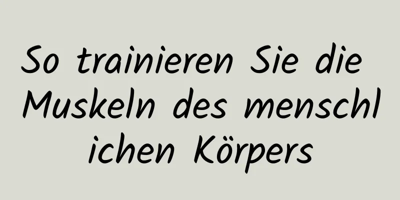 So trainieren Sie die Muskeln des menschlichen Körpers