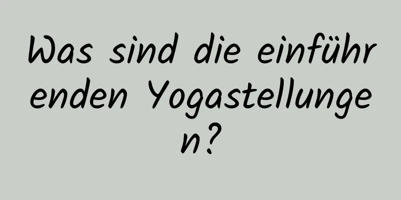 Was sind die einführenden Yogastellungen?