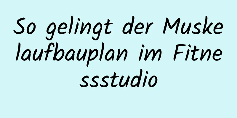 So gelingt der Muskelaufbauplan im Fitnessstudio