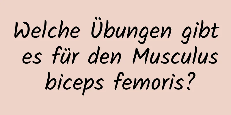 Welche Übungen gibt es für den Musculus biceps femoris?