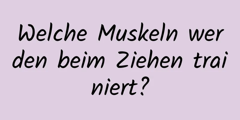 Welche Muskeln werden beim Ziehen trainiert?