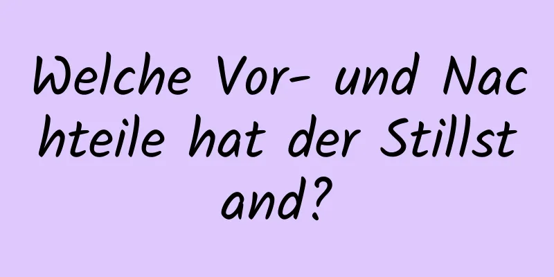 Welche Vor- und Nachteile hat der Stillstand?