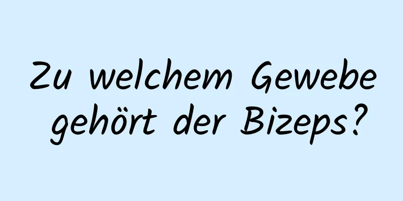 Zu welchem ​​Gewebe gehört der Bizeps?