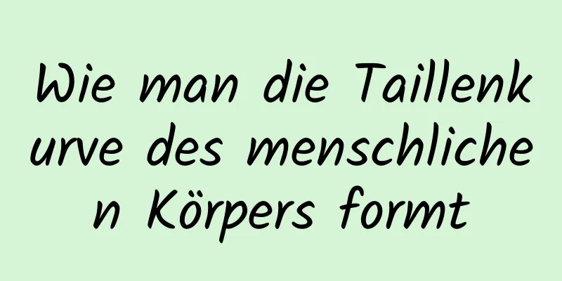 Wie man die Taillenkurve des menschlichen Körpers formt