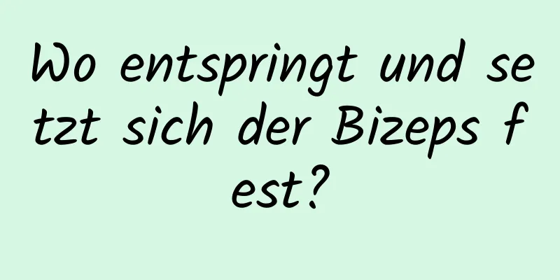 Wo entspringt und setzt sich der Bizeps fest?