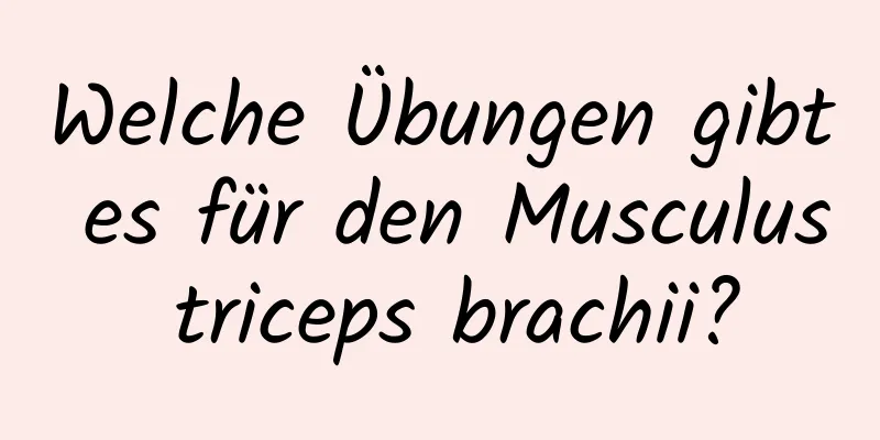 Welche Übungen gibt es für den Musculus triceps brachii?