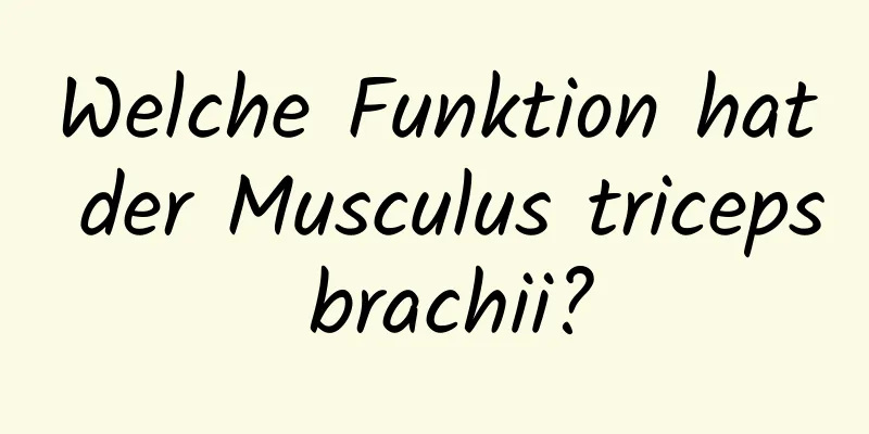 Welche Funktion hat der Musculus triceps brachii?