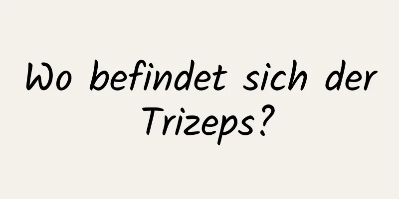 Wo befindet sich der Trizeps?