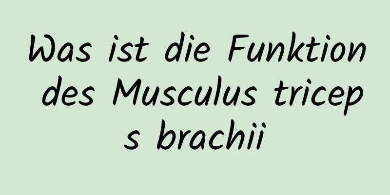 Was ist die Funktion des Musculus triceps brachii