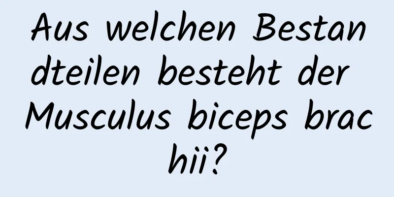 Aus welchen Bestandteilen besteht der Musculus biceps brachii?