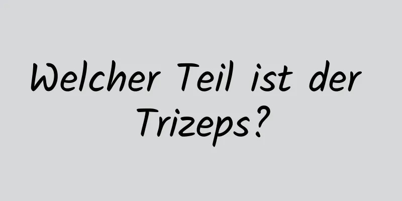 Welcher Teil ist der Trizeps?