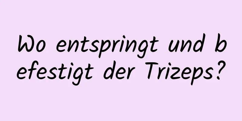 Wo entspringt und befestigt der Trizeps?