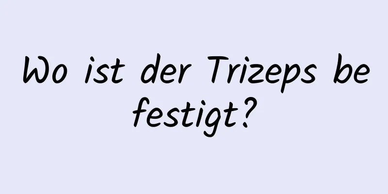 Wo ist der Trizeps befestigt?