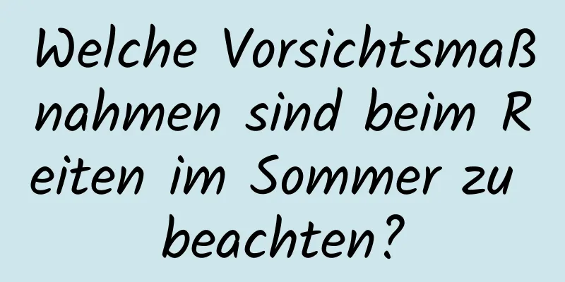 Welche Vorsichtsmaßnahmen sind beim Reiten im Sommer zu beachten?