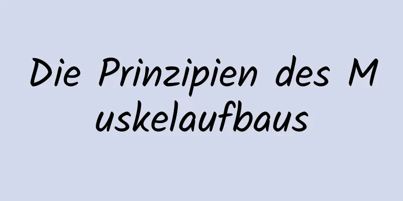 Die Prinzipien des Muskelaufbaus