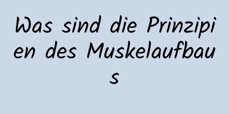 Was sind die Prinzipien des Muskelaufbaus