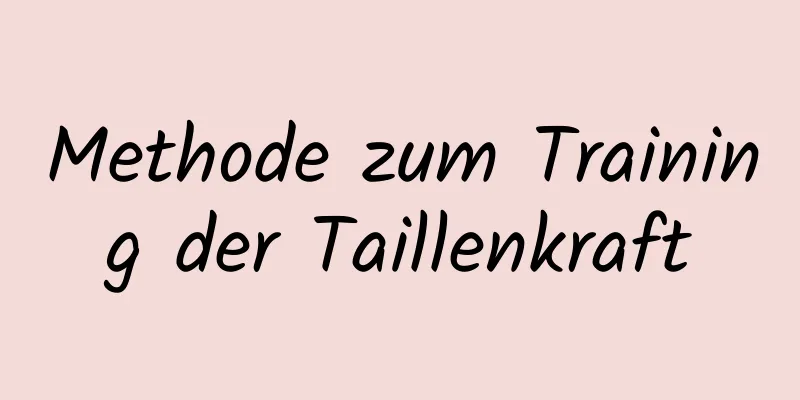 Methode zum Training der Taillenkraft