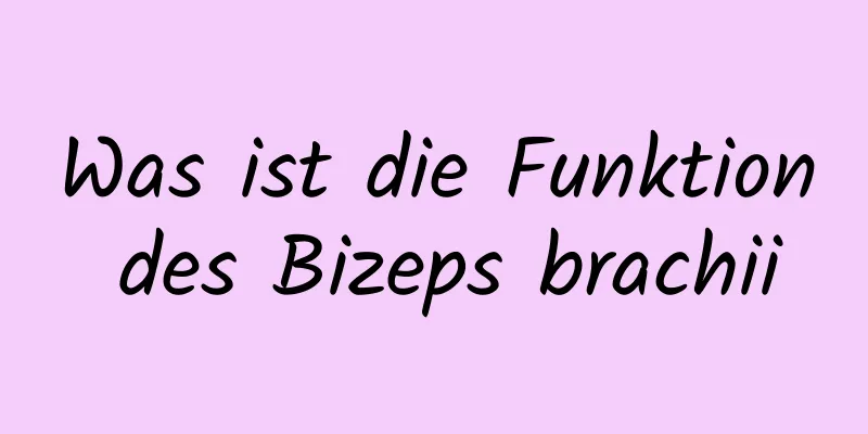 Was ist die Funktion des Bizeps brachii