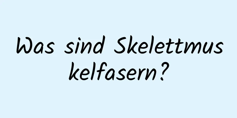 Was sind Skelettmuskelfasern?