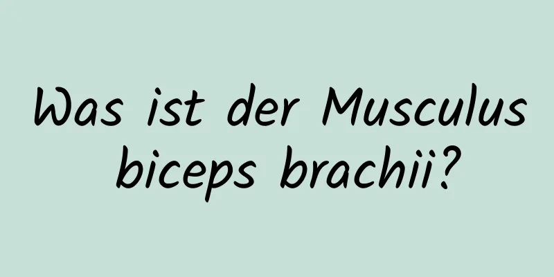 Was ist der Musculus biceps brachii?