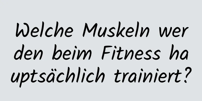 Welche Muskeln werden beim Fitness hauptsächlich trainiert?