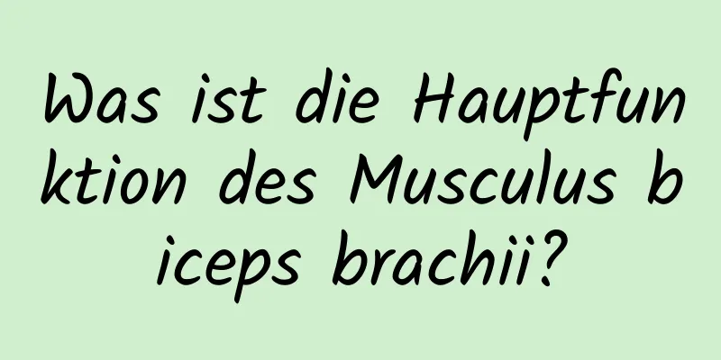 Was ist die Hauptfunktion des Musculus biceps brachii?