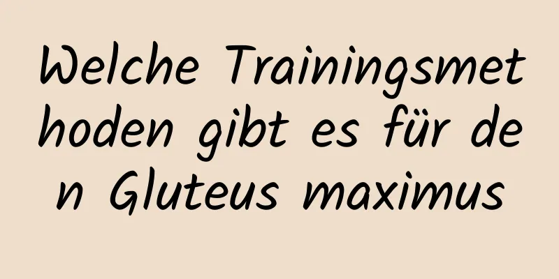 Welche Trainingsmethoden gibt es für den Gluteus maximus