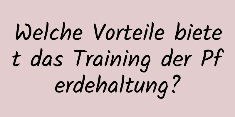 Welche Vorteile bietet das Training der Pferdehaltung?